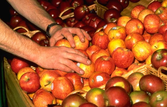 Manzanas expuestas en una fruteria